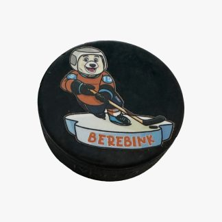 sticker voor ijshockey puck